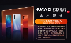 Huawei/华为P30 Pro曲面屏超感光徕卡四摄变焦双景录像980智能手机p30pro